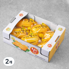 성주 고당도 세척포장참외, 1kg(6~7입), 2개