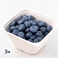 산지직송 아주마 유기농 인증 영동 블루베리