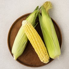 초당옥수수-추천-상품