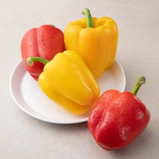 친환경 인증 국내산 파프리카 4입, 500g, 1봉