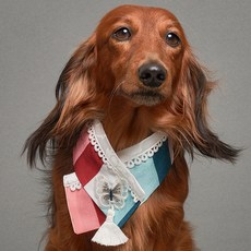 도그아이 강아지 노리개 한복 스카프, 색동민트, 1개