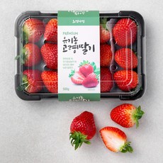 고령 유기인증 딸기, 500g, 1팩