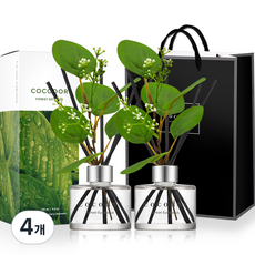 코코도르 포레스트 디퓨저 + 쇼핑백