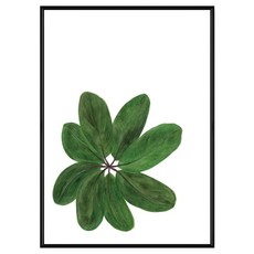 Boluo菠蘿選畫所 植栽生活 闊葉 BFWP4605B (59.4 x 42cm) 黑色畫框, 黑色