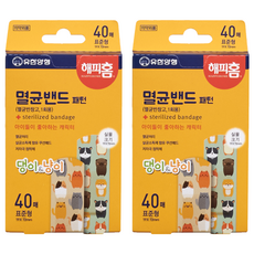 해피홈 멸균밴드 패턴 표준형, 40개입, 2개 2개
