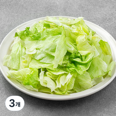 롯데푸드 양상추 슬라이스, 800g, 3개