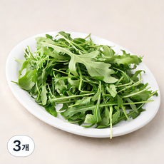 국내산 와일드 루꼴라, 100g, 3개 100g, 3개