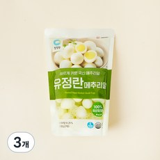 청정원 유정란 메추리알, 500g, 3개