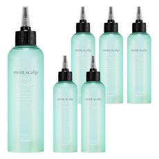 어퓨 민트 스칼프 헤어 식초, 200ml, 6개