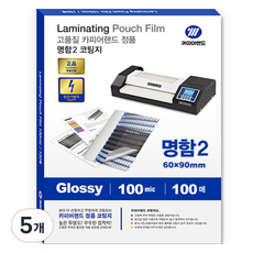 카피어랜드 전정기방지 명함2 코팅지, 60 x 90 mm, 500개