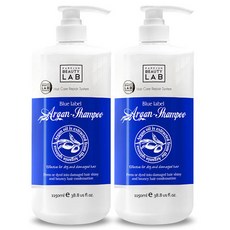 [비건라이프] 박준뷰티랩 블루라벨 아르간 샴푸, 1.15L, 2개 1150ml, 2개