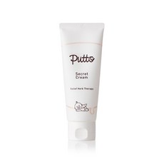 퓨토 시크릿 크림, 100ml, 1개