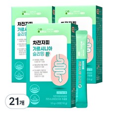 이너랩 차전자피 슬리밍 환 가르시니아, 110g, 21개