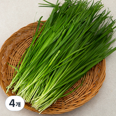 국내산 무농약 부추, 300g, 4개
