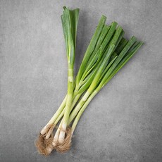 유기농 흙대파, 800g, 1봉