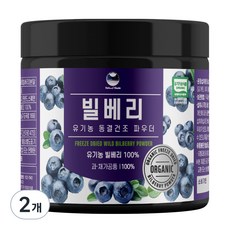 해나식품 유기농 동결건조 빌베리 분말, 2개, 100g