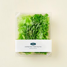 프리미엄 와일드 루꼴라 가든 믹스, 100g, 1개입, 1개 100g, 1개입, 1개