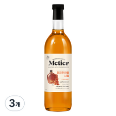메티에 리치카라멜향시럽, 3개, 750ml