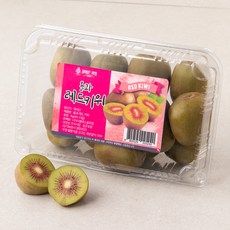 올바른과일 레드키위 10~13입, 1kg, 1팩