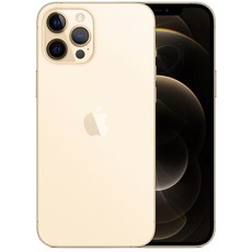 Apple 아이폰 12 Pro Max 자급제, 512GB, 골드