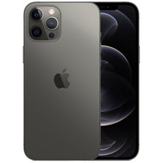 Apple 아이폰 12 Pro Max, 공기계, Graphite, 512GB