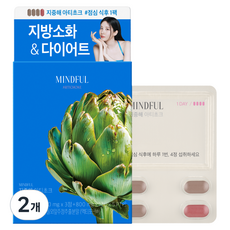푸드올로지 지중해 아티초크 800mg, 32g, 2개