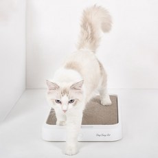 딩동펫 반려동물 고양이 체중계 스크래쳐, 혼합색상, 1개