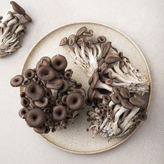 친환경 느타리버섯, 400g, 1팩