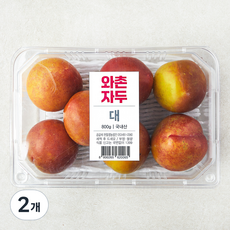 한들 와촌 자두, 2개, 800g(대)
