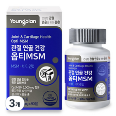 영플랜 옵티 MSM 2000 관절 연골 건강, 3개, 90정