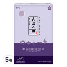 예지미인 윤슬 순한순면 슈퍼롱 오버나이트 생리대 날개형, 패드형, 18개입, 5개