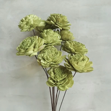 NS 索拉花 4cm 額果綠＋藤條, 花朵＋枝條(已刨)*10.1入, 蘋果綠+藤條, 10支