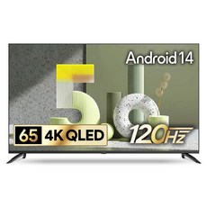 더함 CHIQ 4K UHD QLED DLG 120Hz 돌비 AI 스마트 구글5.0 TV, 165cm(65인치), UA651QLED Google5.0 120Hz 2025, 무타공 벽걸이형, 방문설치