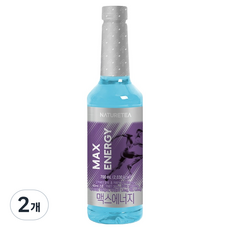 네이쳐티 맥스 에너지 시럽, 2개, 700ml