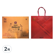 한삼인 기력보감 환 + 쇼핑백, 25회분, 93.75g, 2개