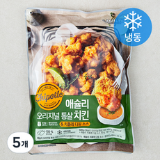 애슐리 오리지널 통살치킨 & 치폴레 소스 (냉동), 5개, 500g