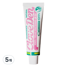 클로브덴 화이트닝 케어 미백치약, 100g, 5개