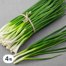 친환경 제주 깐쪽파, 500g, 4개