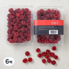 산지직송 푸드베이스 산딸기, 250g, 6팩