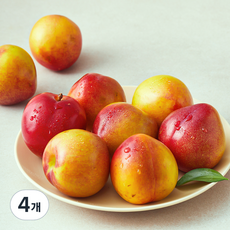이로운 군위 당도선별 후무사 자두, 4개, 1.2kg(특대)