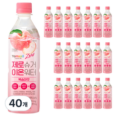 탐사 제로슈거 이온워터 복숭아맛, 500ml, 40개
