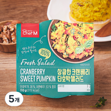 쉐프엠 상큼한 크랜베리 단호박 샐러드, 110g, 5개
