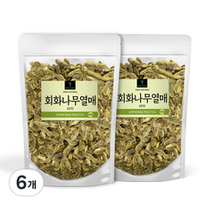 퓨어영 회화나무열매 괴각 차, 6개, 600g