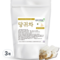 천지가약초 국내산 당귀차 삼각티백, 1g, 100개입, 3개