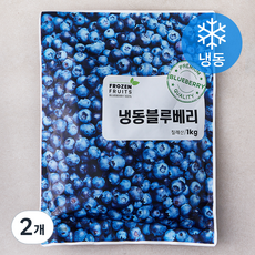 이안 칠레산 블루베리 (냉동), 1kg, 2개 1kg, 2개