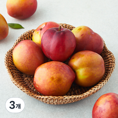 가족 의성 당도선별 후무사 자두, 3개, 1.2kg(특대)