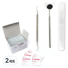 치석 제거기 세트 탐침 B타입 + 치경 + 케이스 + 알콜솜 랜덤발송 100p, 2세트