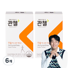 콴첼 우슬 엑스퍼트 액티브, 30정, 6개