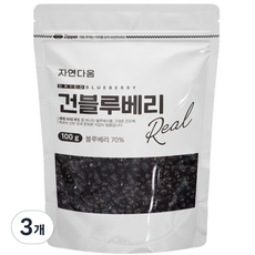 자연다움 건블루베리, 3개, 100g
