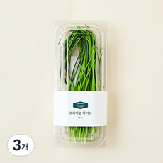 프리미엄 차이브, 10g, 3개